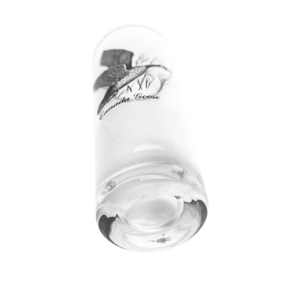 Collectible Pilsner Glass Canada Goose Silver Rim Beer Barware 6.75 Inch Tall - Picture 7 of 12